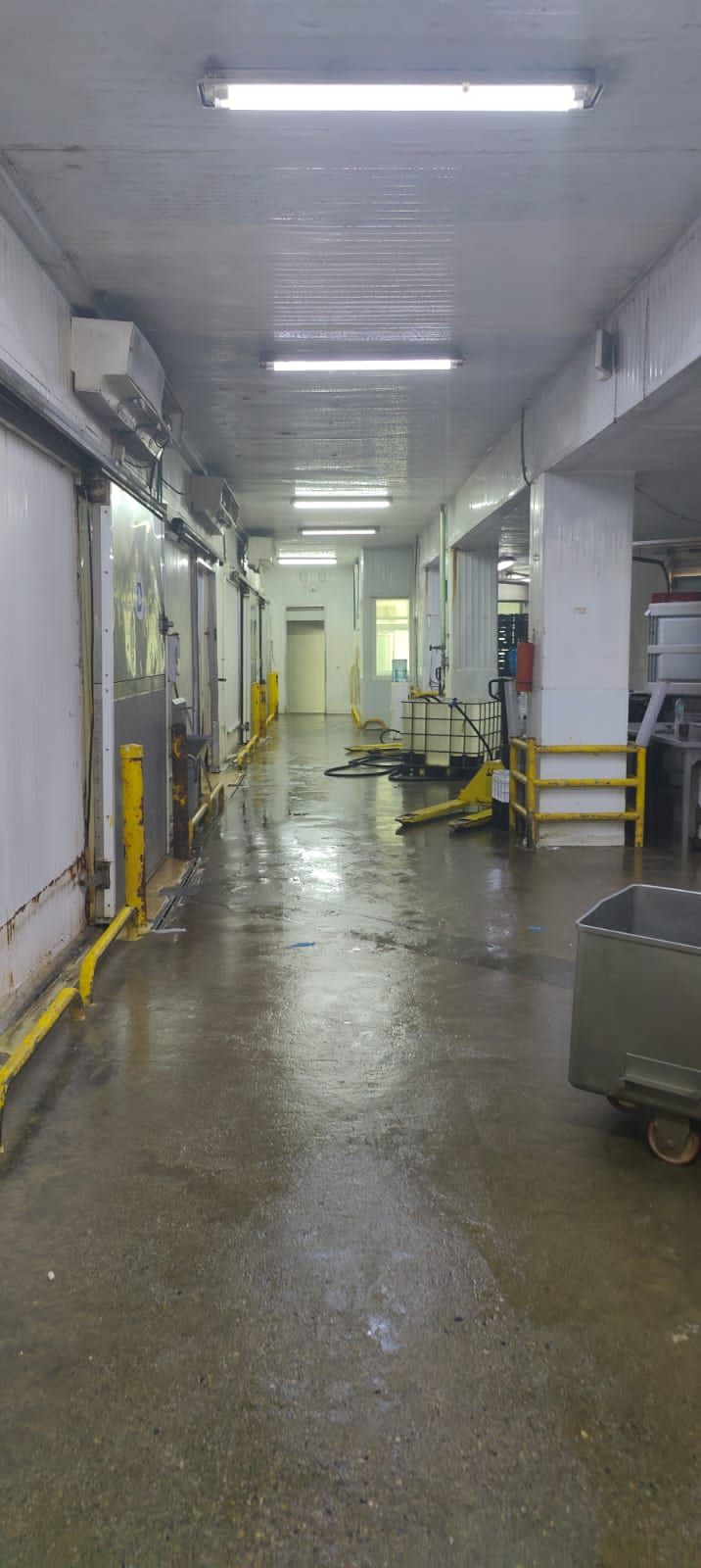 oficinas y locales comerciales - Nave refrigerada en Palamara 6