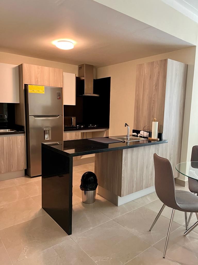 apartamentos - Se alquila apartamento amueblado en La Esperilla 6