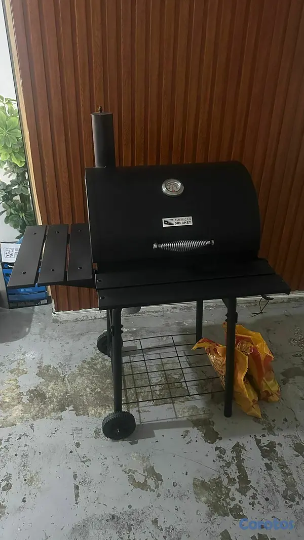 cocina - BBQ de carbon un solo uso  2