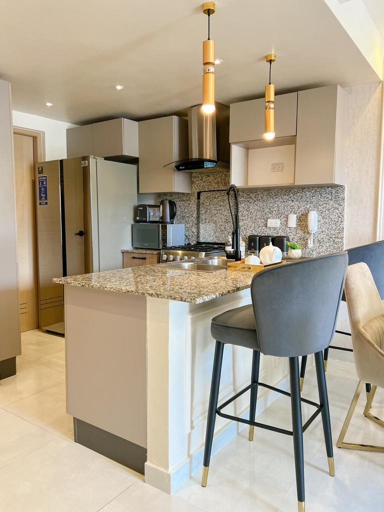 apartamentos - Alquiler de Apartamento Amueblado 2 habitaciones en Piantini  10