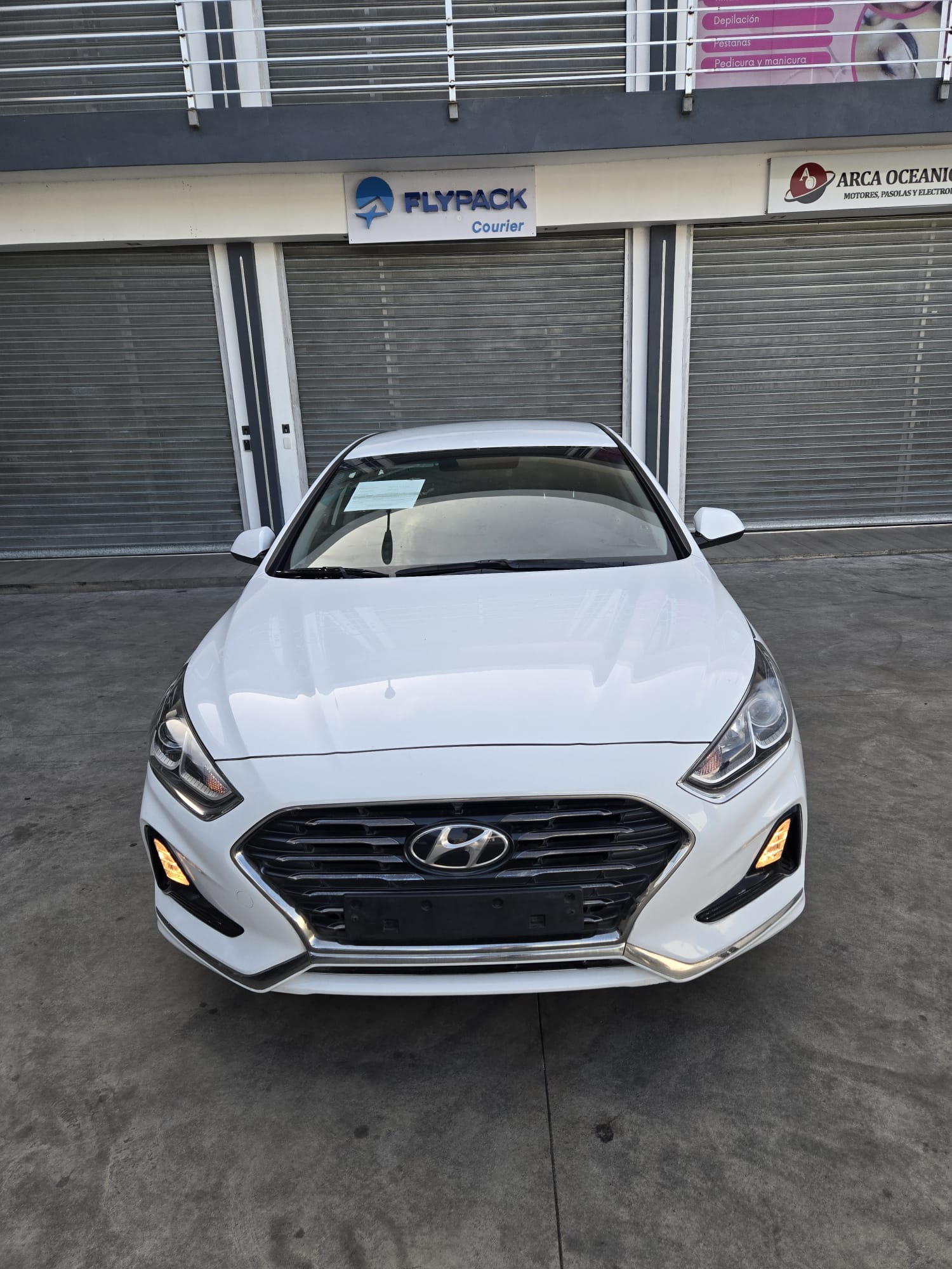 carros - HYUNDAI SONATA NEW RISE 2019 BLANCO 2