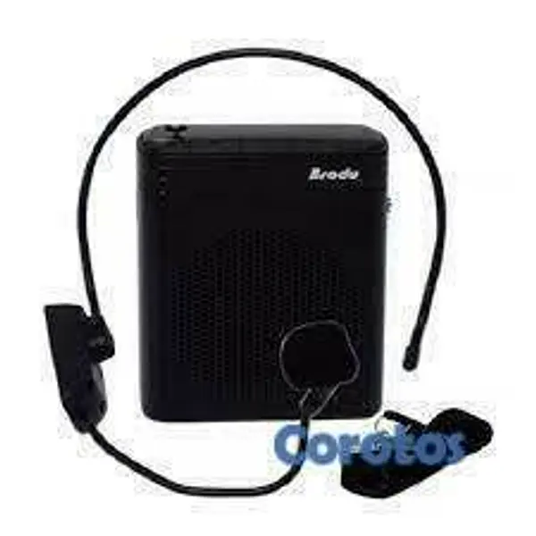 camaras y audio - Bocina + Microfono BTS-1385 parlante para charlas, 2