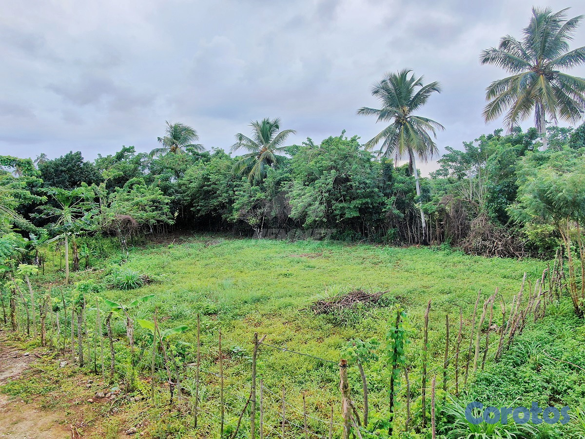 solares y terrenos - SOLAR PROXIMO PLAYA LA ENTRADA CABRERA RD. DESLIND 3