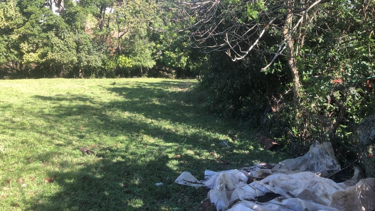 solares y terrenos - Terreno en venta en Jarabacoa, la Vega 2