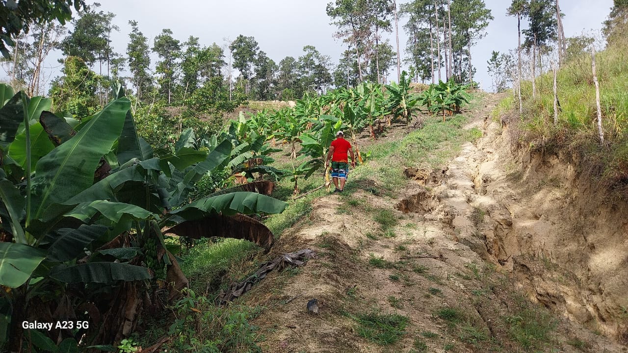 solares y terrenos - Finca en Venta – Jarabacoa, 50 Tareas con Título 1