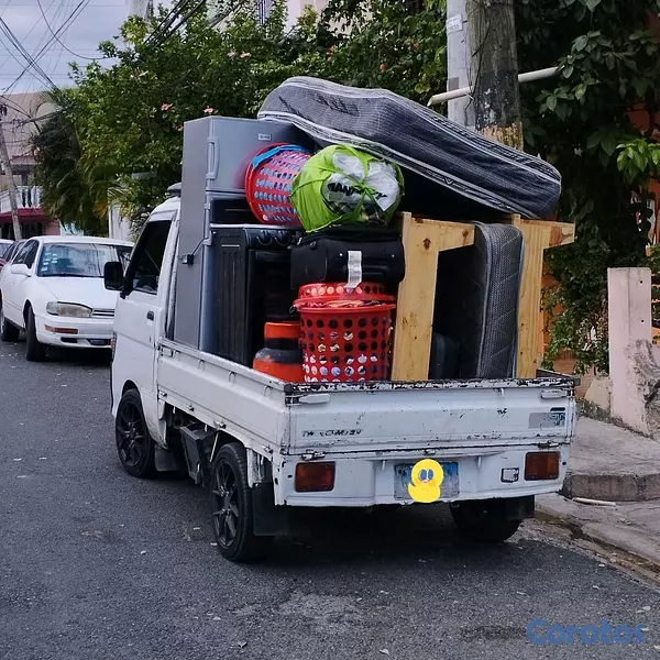 servicios profesionales - acarreo y mudanza  2