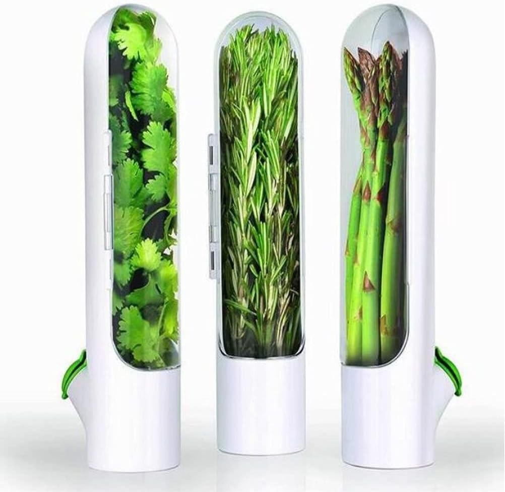 electrodomesticos - Botella De Conservación De Verduras, vegetales, cilantro, cebollin envase 1