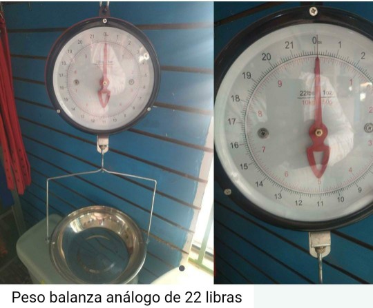electrodomesticos - Peso balanza de aguja 2