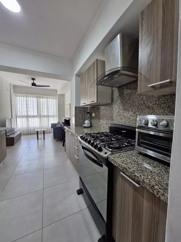 apartamentos - Apartamentos amueblados Av. Mexico 5