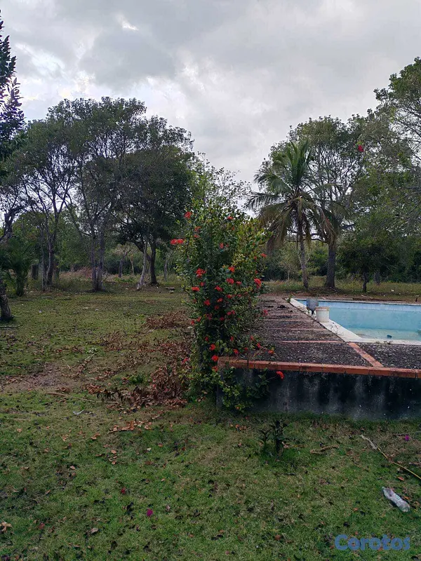 Corotos | Vendo 14,000 Mts.2 de Terreno JUSTO AL LADO de GUA