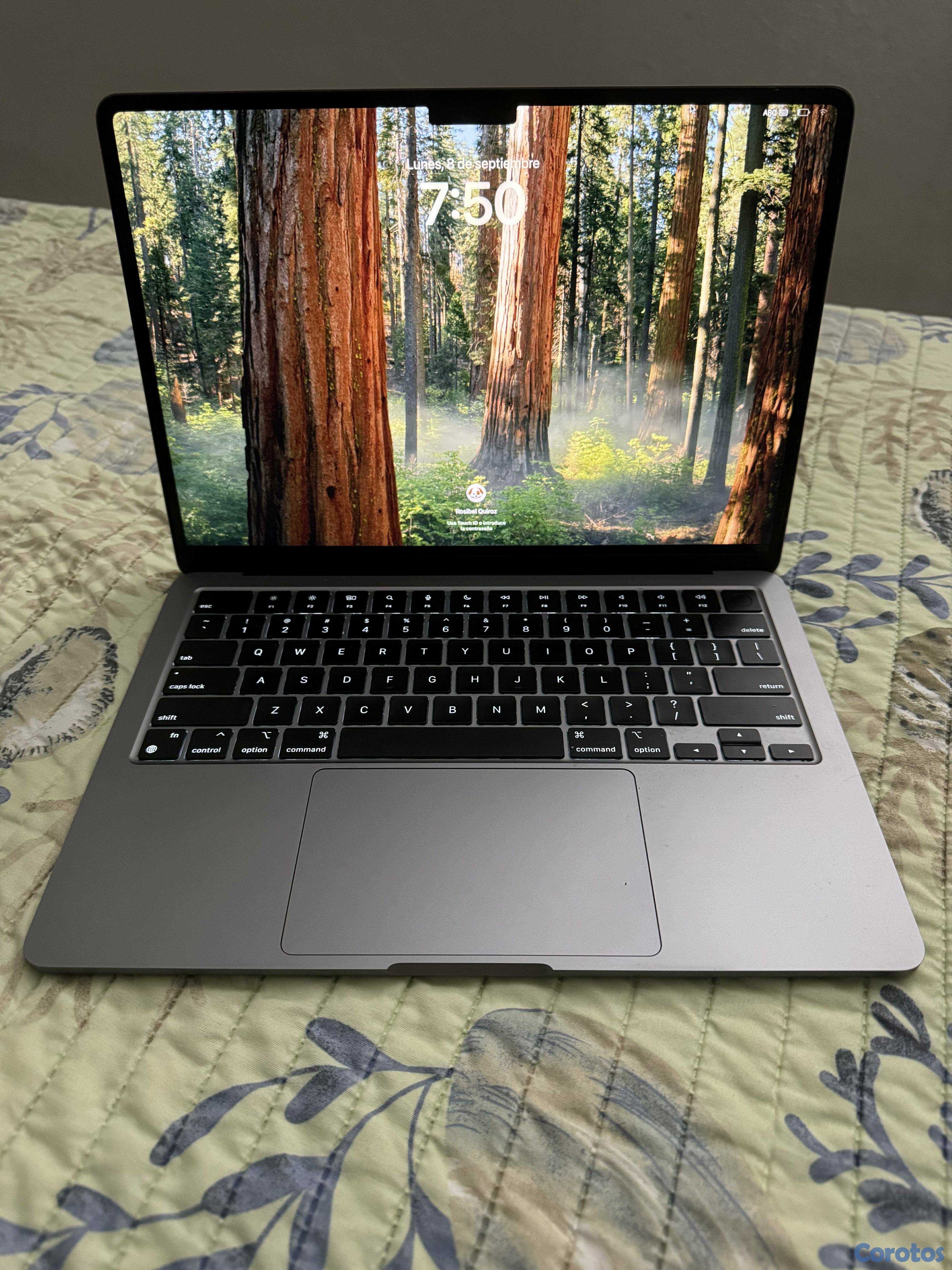 computadoras y laptops - MacBook Air 13 M3 (2024) 1