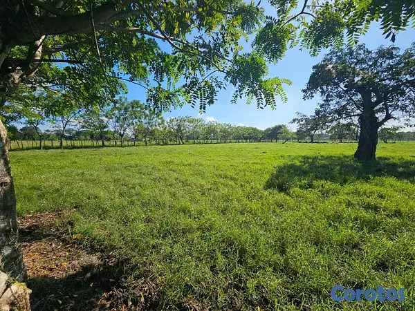 solares y terrenos - Finca en venta en San Francisco de Macorís Macoris 3