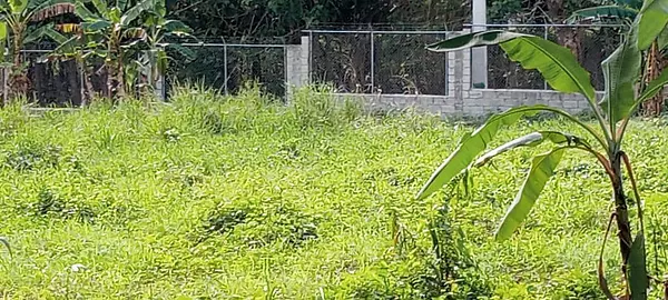 solares y terrenos - Terrenos Autopista Duarte 4